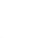 Exhaust System Inspection