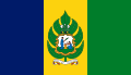 St Vincent and the grenadines